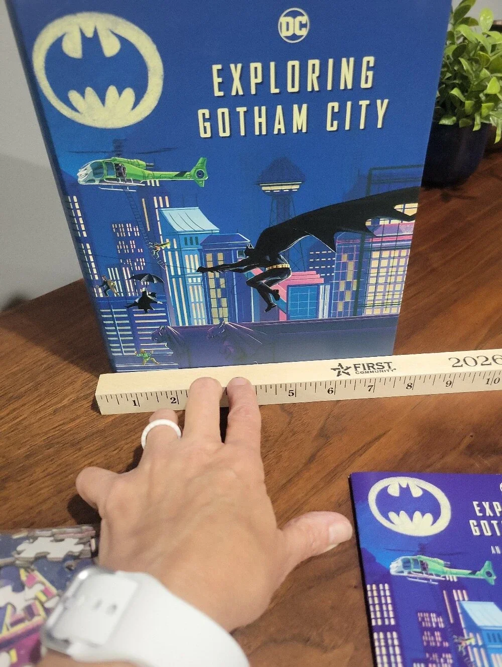Batman Book & 500-Piece Jigsaw Puzzle EXPLORING GOTHAM CITY DC Comics OPEN BOX
